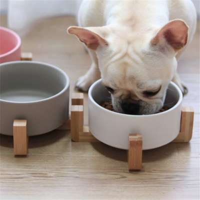 Pet supplies bamboo stand customize matte color porcelain cat dog bowl for food , water